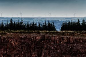 View across a quarry with pine trees and wind turbines in the distance